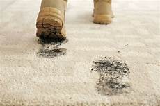 Carpet Maintenance Chemicals