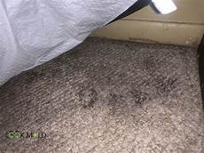 Carpet Cleaning Agent